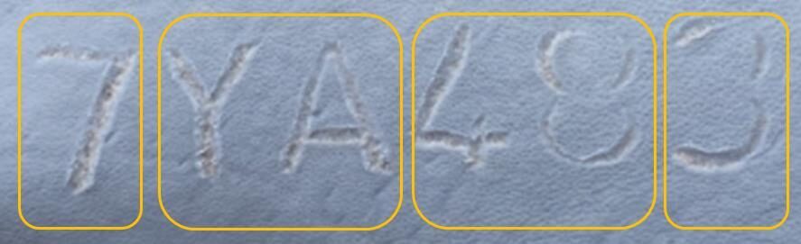Tracking stamp on hide